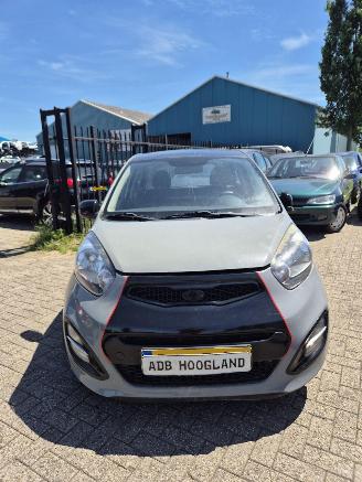  Kia Picanto (TA) Hatchback 1.0 12V (G3LA) [51kW] 5-BAK 2013/1