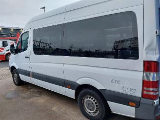 Mercedes Sprinter Sprinter 3,5t (906.73) Bus 311 CDI 16V picture 4
