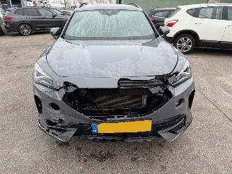 Cupra Formentor 1.4 110KW DSG e-Hybrid Clima Navi Copper Edition picture 20