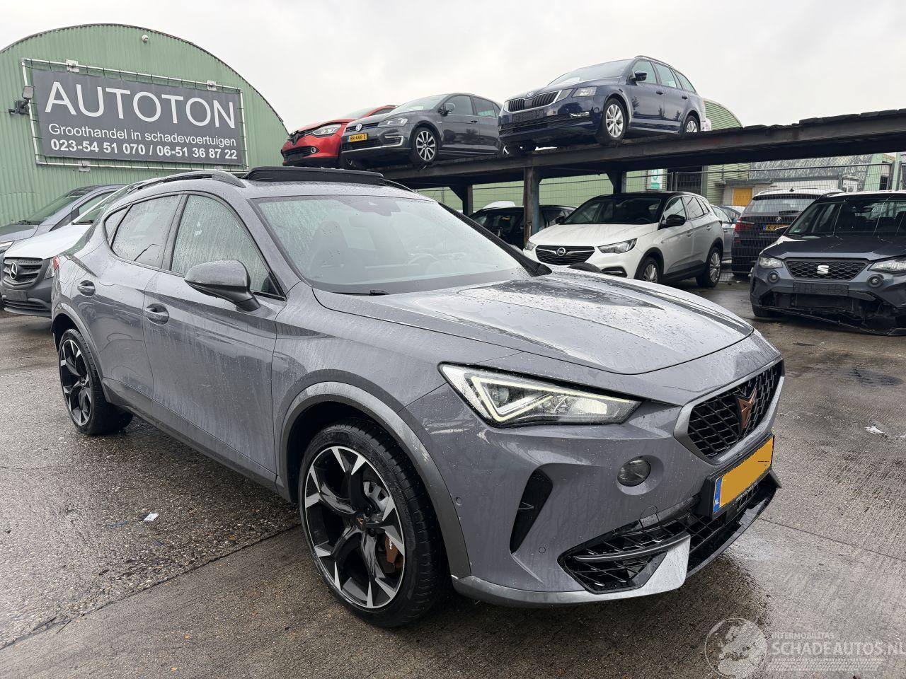 Cupra Formentor 2.0 TSI 310PK 4Drive VZ Pano Clima Navi Camera