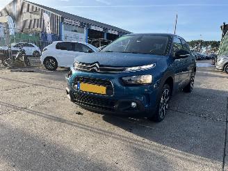 Citroën C4 cactus 1.2 pure tech Feel picture 2