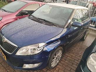 Sloopauto Skoda Fabia Fabia II (5J), Hatchback 5-drs, 2006 / 2014 1.2 TSI 2010/5