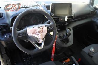 Opel Combo Combo Cargo, Van, 2018 1.6 CDTI 100 picture 14