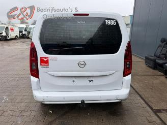 Opel Combo Combo Cargo, Van, 2018 1.5 CDTI 100 picture 5