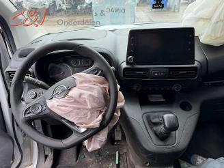 Opel Combo Combo Cargo, Van, 2018 1.5 CDTI 100 picture 12