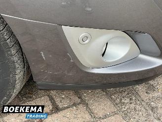 Renault Grand-scenic 2.0 Bose Panorama Camera Navi Cruise Clima picture 12
