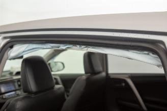 Toyota Rav-4 2.5 Hybrid Elek Pano Camera Leder Autom Navi picture 35