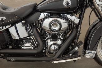 Harley-Davidson  FLSTC picture 12
