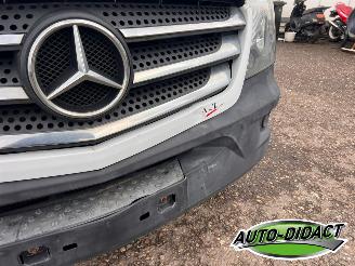 Mercedes Sprinter 314 CDI KOELWAGEN picture 29