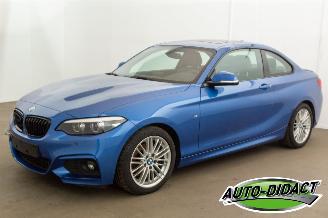 Schadeauto BMW 2-serie 218d Automaat Leder Navi Schuifdak 2019/7
