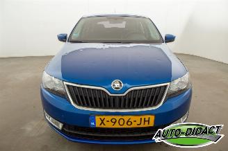 Skoda Rapid 1.6 TDI Clima Greentech Ambition picture 35