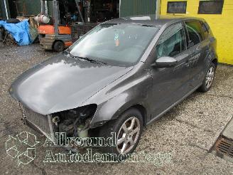  Volkswagen Polo Polo V (6R) Hatchback 1.2 TSI (CBZC(Euro 5)) [66kW]  (05-2011/05-2014)= 2012