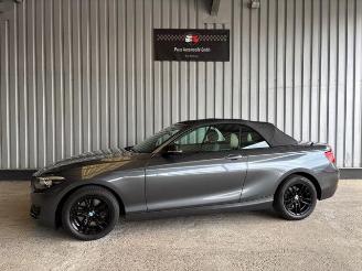 occasione autovettura BMW 2-serie 0d Advantage Cabriolet LED / Navigation 2018/9