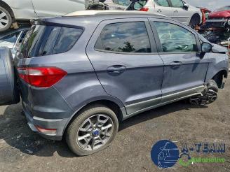 Ford EcoSport EcoSport (JK8), SUV, 2013 1.0 EcoBoost 12V 125 picture 13