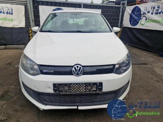 Volkswagen Polo Polo V (6R), Hatchback, 2009 / 2017 1.2 TDI 12V BlueMotion picture 2