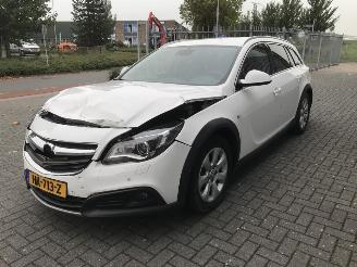 Opel Insignia Country Tourer 1.6 CDTI 2x4 Leer Nav Internet Business+ picture 6