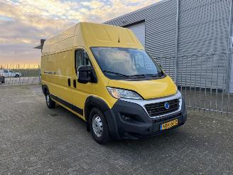 voitures fourgonnettes/vécules utilitaires Fiat E-Ducato  2019/11