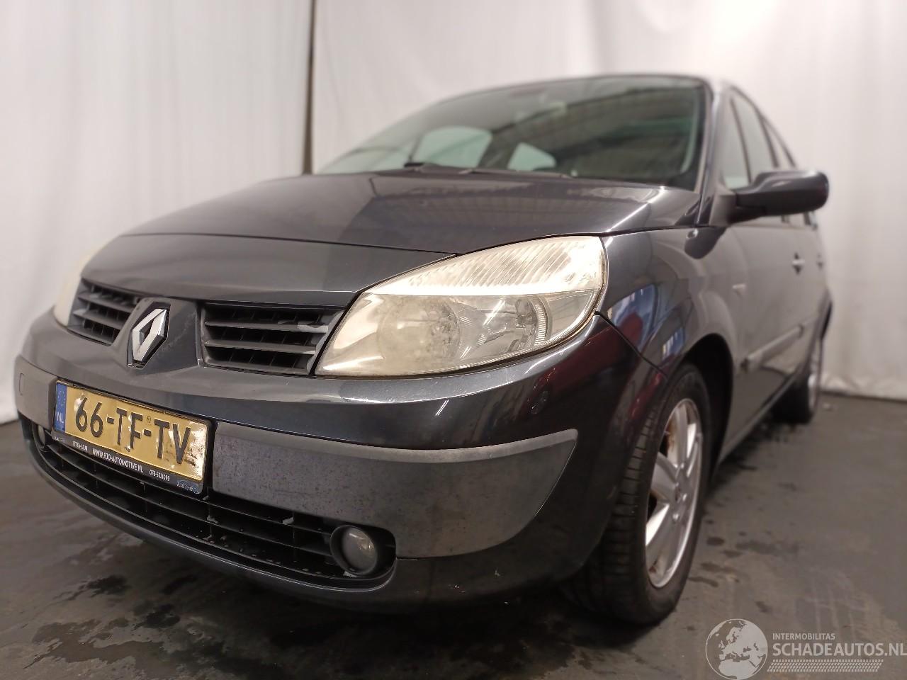 Renault Scenic Grand Scénic II (JM) MPV 2.0 16V (F4R-770(Euro 4)) [99kW]  (04-2004/=
06-2009)