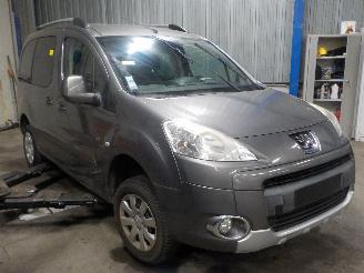 Peugeot Partner Partner Tepee (7A/B/C/D/E/F/G/J/P/S) MPV 1.6 VTI 16V (EP6CDTR(5FK)) [7=
2kW]  (08-2010/12-2018) picture 2