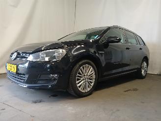 Volkswagen Golf Golf VII Variant (AUVV) Combi 1.6 TDI BlueMotion 16V (CRKB) [81kW]  (0=
5-2013/12-2020) picture 3