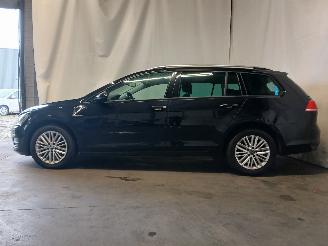 Volkswagen Golf Golf VII Variant (AUVV) Combi 1.6 TDI BlueMotion 16V (CRKB) [81kW]  (0=
5-2013/12-2020) picture 4