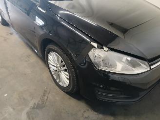 Volkswagen Golf Golf VII Variant (AUVV) Combi 1.6 TDI BlueMotion 16V (CRKB) [81kW]  (0=
5-2013/12-2020) picture 26