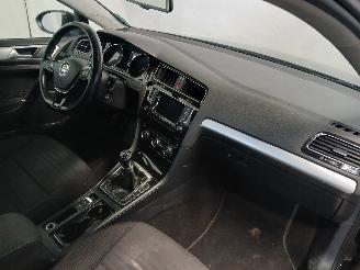 Volkswagen Golf Golf VII Variant (AUVV) Combi 1.6 TDI BlueMotion 16V (CRKB) [81kW]  (0=
5-2013/12-2020) picture 8