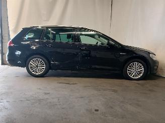 Volkswagen Golf Golf VII Variant (AUVV) Combi 1.6 TDI BlueMotion 16V (CRKB) [81kW]  (0=
5-2013/12-2020) picture 7