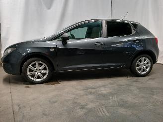 Seat Ibiza Ibiza IV (6J5) Hatchback 5-drs 1.2 12V (CGPB) [44kW]  (07-2009/05-2015=
) picture 4