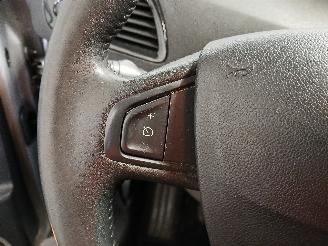 Renault Scenic Scénic III (JZ) MPV 1.4 16V TCe 130 (H4J-700(H4J-A7)) [96kW]  (02-20=
09/09-2016) picture 15