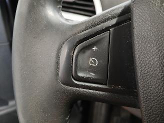 Renault Scenic Scénic III (JZ) MPV 1.4 16V TCe 130 (H4J-700(H4J-A7)) [96kW]  (02-20=
09/09-2016) picture 15