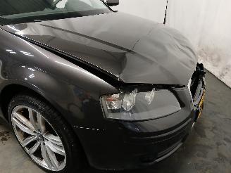 Audi A3 A3 Sportback (8PA) Hatchback 5-drs 1.8 TFSI 16V (BYT) [118kW]  (11-200=
6/03-2013) picture 24