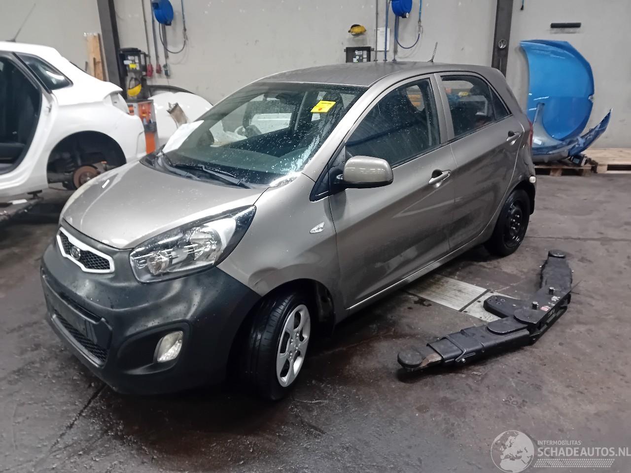Kia Picanto Picanto (TA) Hatchback 1.0 12V (G3LA) [51kW]  (05-2011/06-2017)