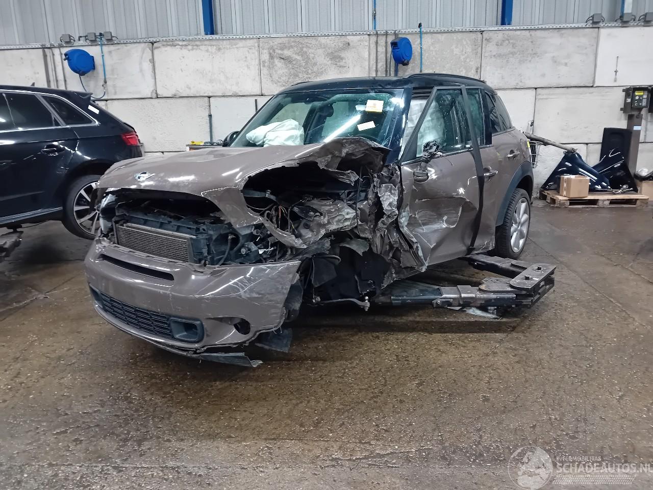 Mini Countryman Countryman (R60) SUV 1.6 16V Cooper S ALL4 (N18-B16A) [135kW]  (08-201=
0/10-2016)