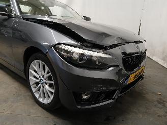 BMW 2-serie 2 serie (F22) Coupé 218i 1.5 TwinPower Turbo 12V (B38-B15A) [100kW] =
 (03-2015/06-2021) picture 29