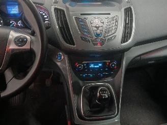 Ford Grand C-Max Grand C-Max (DXA) MPV 1.0 Ti-VCT EcoBoost 12V 125 (M1DA(Euro 5)) [92kW=
]  (10-2012/06-2019) picture 16