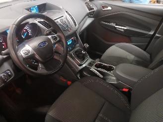 Ford Grand C-Max Grand C-Max (DXA) MPV 1.0 Ti-VCT EcoBoost 12V 125 (M1DA(Euro 5)) [92kW=
]  (10-2012/06-2019) picture 12