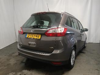 Ford Grand C-Max Grand C-Max (DXA) MPV 1.0 Ti-VCT EcoBoost 12V 125 (M1DA(Euro 5)) [92kW=
]  (10-2012/06-2019) picture 5