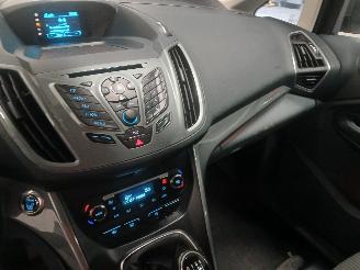 Ford Grand C-Max Grand C-Max (DXA) MPV 1.0 Ti-VCT EcoBoost 12V 125 (M1DA(Euro 5)) [92kW=
]  (10-2012/06-2019) picture 15