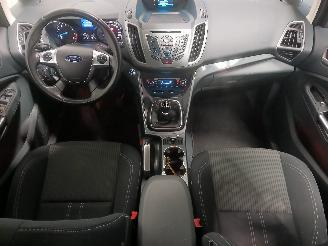 Ford Grand C-Max Grand C-Max (DXA) MPV 1.0 Ti-VCT EcoBoost 12V 125 (M1DA(Euro 5)) [92kW=
]  (10-2012/06-2019) picture 11