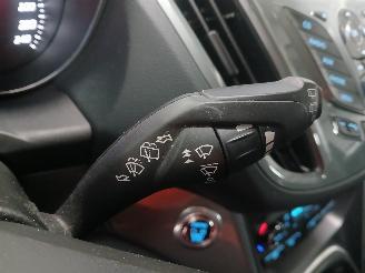 Ford Grand C-Max Grand C-Max (DXA) MPV 1.0 Ti-VCT EcoBoost 12V 125 (M1DA(Euro 5)) [92kW=
]  (10-2012/06-2019) picture 18