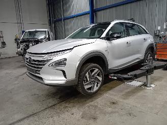 Dezmembrări autoturisme Hyundai Nexo Nexo I Hatchback FCEV FWD (FM12) [120kW]  (03-2018/...) 2019/4