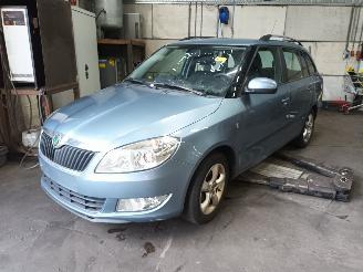 Sloopauto Skoda Fabia Fabia II Combi Combi 5-drs 1.2 TDI 12V Greenline (CFWA) [55kW]  (05-20=
10/12-2014) 2010/10