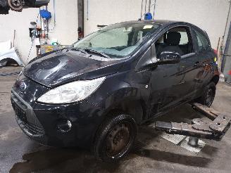 Sloopauto Ford Ka Ka II Hatchback 1.2 (169.A.4000(Euro 4; Euro 5)) [51kW]  (10-2008/05-2=
016) 2010/7
