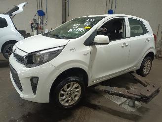 Sloopauto Kia Picanto Picanto (JA) Hatchback 1.0 12V (G3LA) [49kW]  (03-2017/...) 2018/6