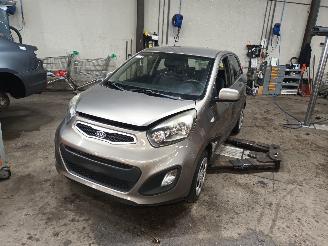 Sloopauto Kia Picanto Picanto (TA) Hatchback 1.0 12V (G3LA) [51kW]  (05-2011/06-2017) 2011/8