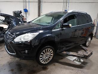 Sloopauto Ford Grand C-Max Grand C-Max (DXA) MPV 1.0 Ti-VCT EcoBoost 12V 125 (M1DA(Euro 5)) [92kW=
]  (10-2012/06-2019) 2013/11