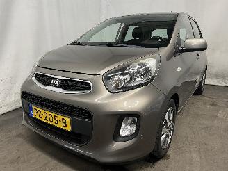 Avarii autoturisme Kia Picanto Picanto (TA) Hatchback 1.0 12V (G3LA) [49kW]  (05-2011/06-2017) 2017/3