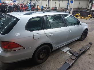 Volkswagen Golf Golf V Variant (1K5) Combi 1.9 TDI (BLS) [77kW]  (06-2007/07-2009) picture 3