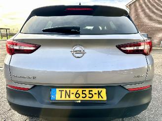 Opel Grandland X 1.2 Turbo 131pk 6-bak Online Edition - nap - navi - clima - cruise - pdc v+a - carplay - privacy glass picture 6